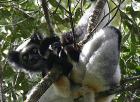 Fotó: Indri