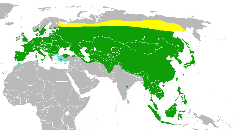 Fotó: Eurasian tree sparrow - előfordulás