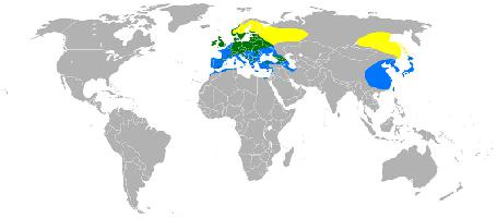 Fotó: Eurasian siskin - előfordulás