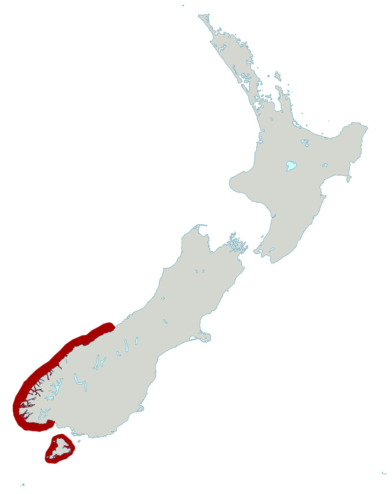 Fotó: Fiordland penguin - előfordulás