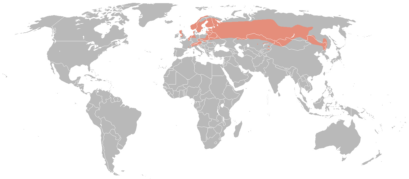 Fotó: Black grouse - előfordulás