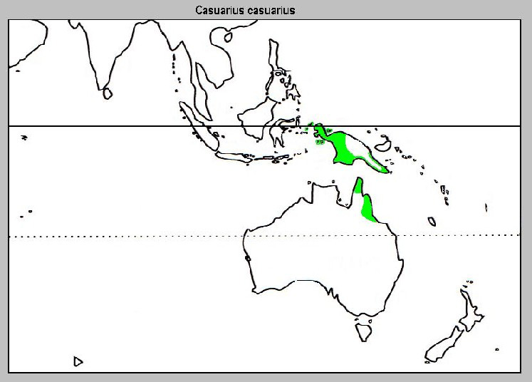 Fotó: Southern cassowary - előfordulás